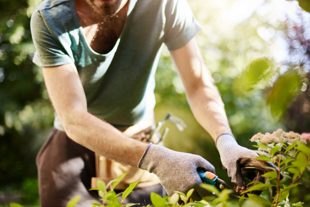 gardening man