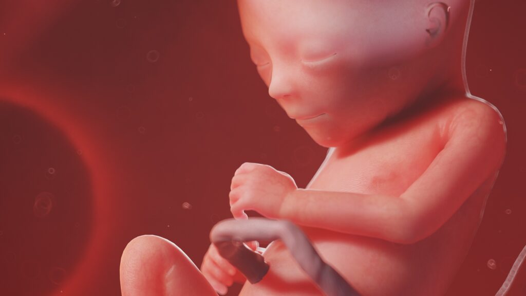 Επιστήμονες δημιούργησαν συνθετικά ανθρώπινα έμβρυα