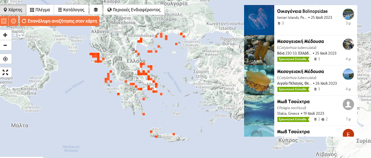 τσίμπημα από μωβ μέδουσα