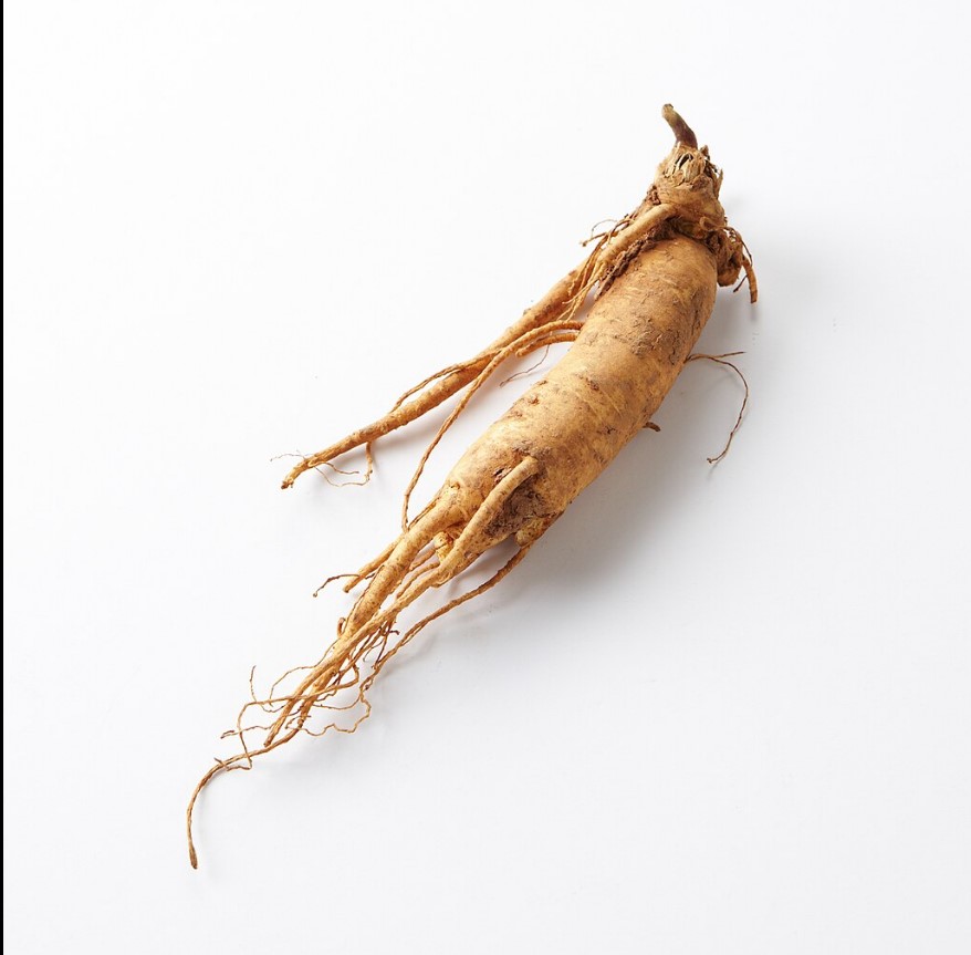 ginseng