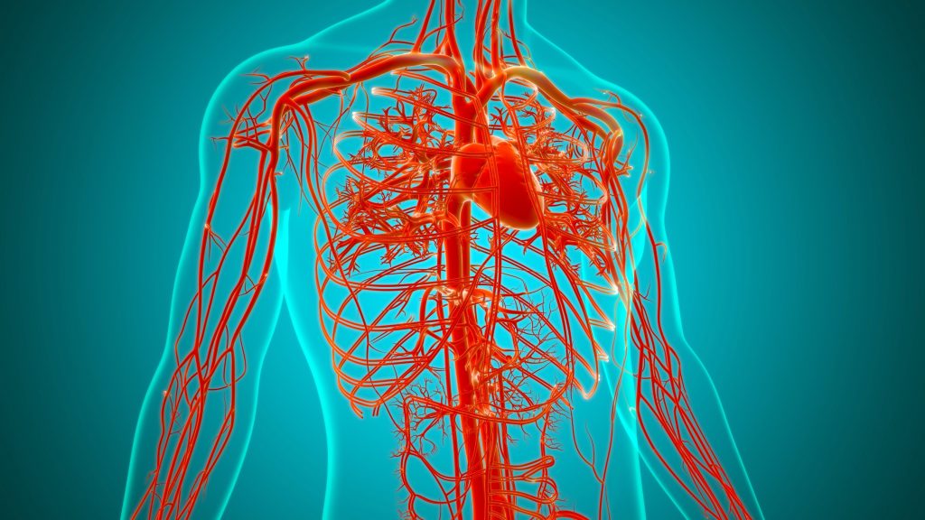 Η No1 κίνηση που μειώνει τη συσσώρευση πλάκας στις αρτηρίες, σύμφωνα με τους καρδιολόγους