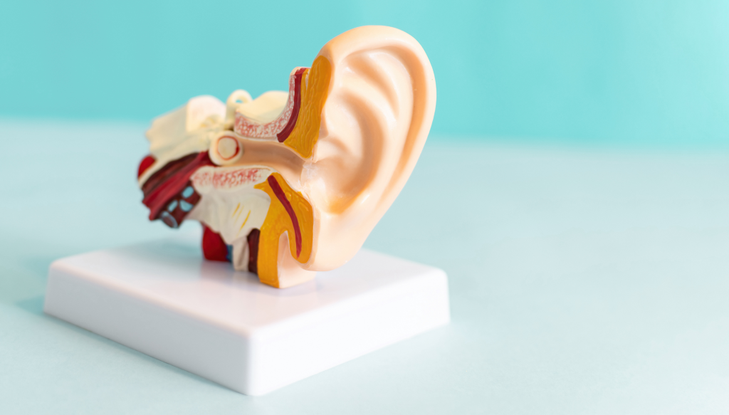 Απώλεια ακοής: Ποια είναι τα συμπτώματα που θα μας οδηγήσουν στο γιατρό