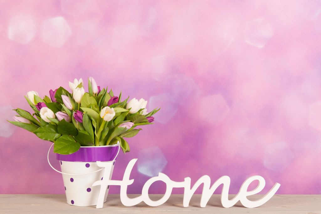 Θέλετε πιο καθαρό αέρα στο σπίτι; Ποιο φυτό φιλτράρει τον αέρα καλύτερα