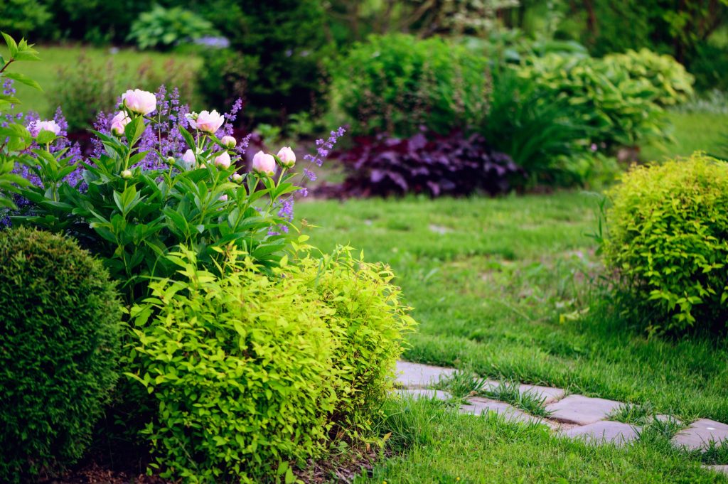Ένα απλό κόλπο για να καταπολεμήσετε τα ζιζάνια στον κήπο σας