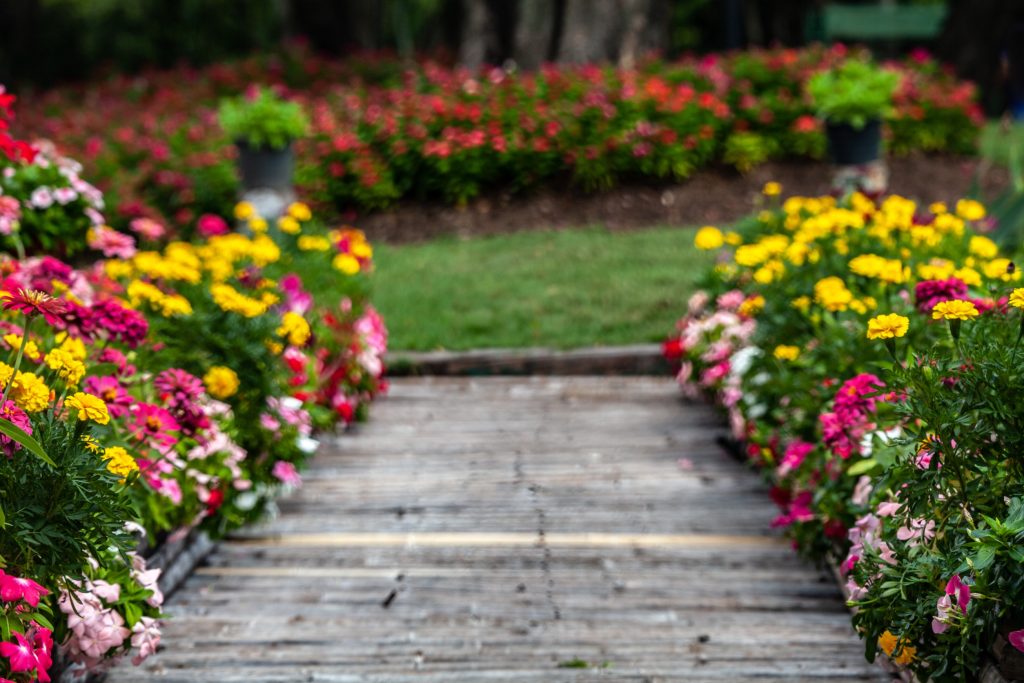 5 εύκολοι τρόποι για να ετοιμάσετε τον κήπο σας για το καλοκαίρι