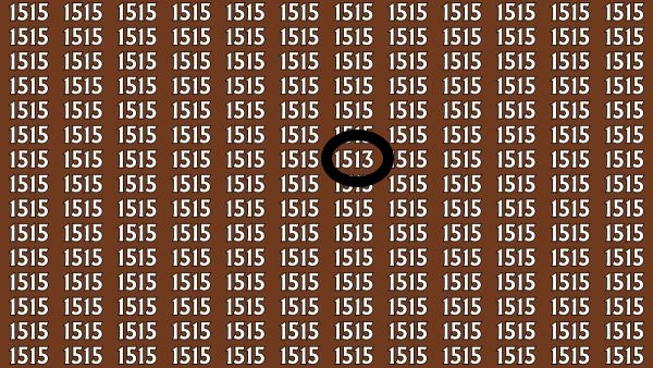 Είστε πιο έξυπνοι από το 99%; Εντοπίστε το 1513 ανάμεσα σε όλα τα 1515, λύστε το τεστ παρατηρητικότητας και αποδείξτε το!