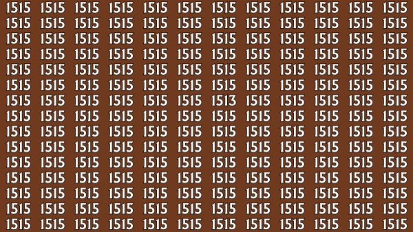 Είστε πιο έξυπνοι από το 99%; Εντοπίστε το 1513 ανάμεσα σε όλα τα 1515, λύστε το τεστ παρατηρητικότητας και αποδείξτε το!