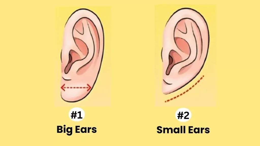 Τεστ προσωπικότητας: Έχετε μικρά ή μεγάλα αυτιά; Απαντήστε και αποκαλύψτε τα κρυφά χαρακτηριστικά της προσωπικότητάς σας