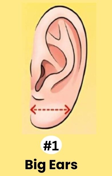 Τεστ προσωπικότητας: Πόσο μεγάλα είναι τα αυτιά σας; Απαντήστε και αποκαλύψτε τα κρυφά χαρακτηριστικά της προσωπικότητάς σας