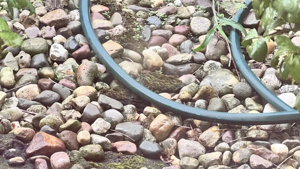 Μόνο όσοι έχουν την παρατηρητικότητα του Isaac Newton μπορούν να βρούν τον κρυμμένο βάτραχο στη φωτογραφία σε 5 δευτερόλεπτα