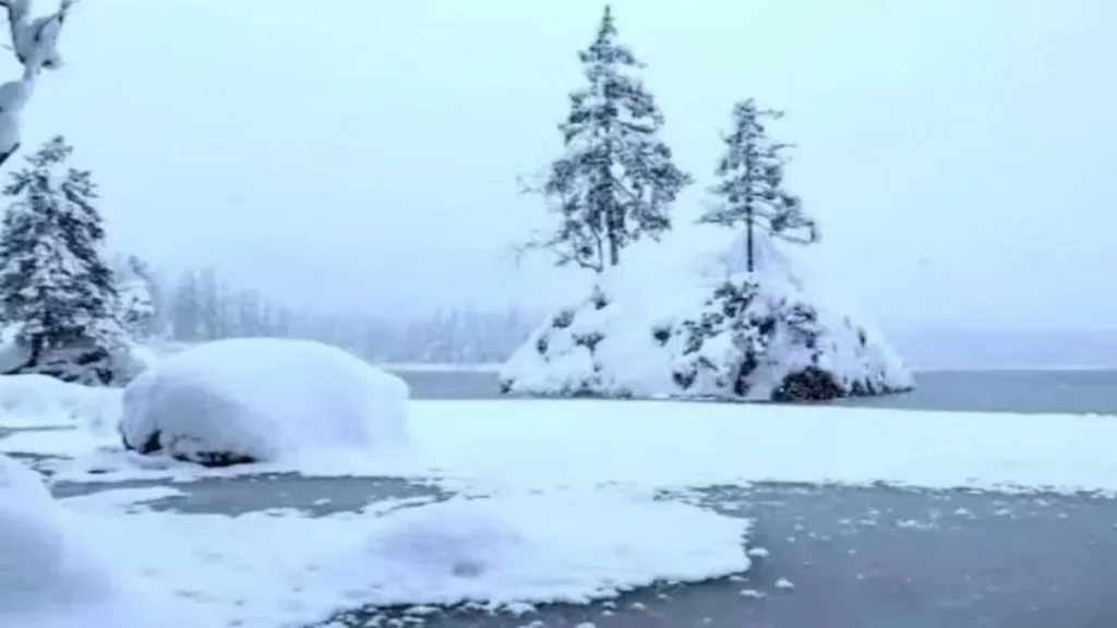 Μόνο ο Legolas από το Lord of the Rings θα μπορούσε να βρει την κρυμμένη πολική αρκούδα σε 21 δεύτερα – Μήπως και εσείς;