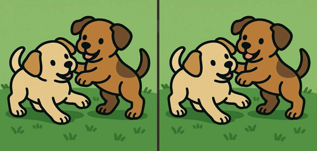 Είστε παρατηρητικοί όπως ένας ντετέκτιβ; Εντοπίστε τις 3 διαφορές στη φωτό με τα κουτάβια που παίζουν