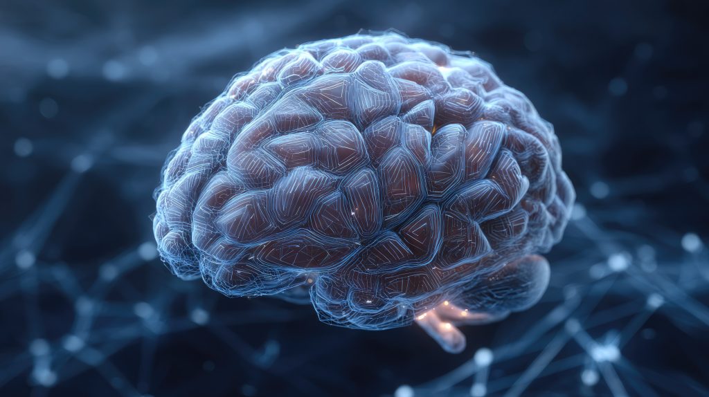 Υπερυπολογιστής δημιουργεί τον πιο ρεαλιστικό ψηφιακό εγκέφαλο μέχρι σήμερα – Πώς θα βοηθήσει στην αντιμετώπιση ασθενειών (ΦΩΤΟ)