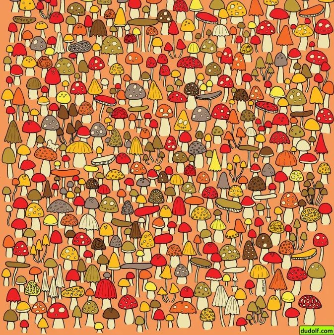 Μπορείτε να εντοπίσετε το ποντικάκι που κρύβεται πίσω από όλα τα μανιτάρια; Μόνο όσοι έχουν τα μάτια γερακιού μπορούν να λύσουν το τεστ παρατηρητικότητας