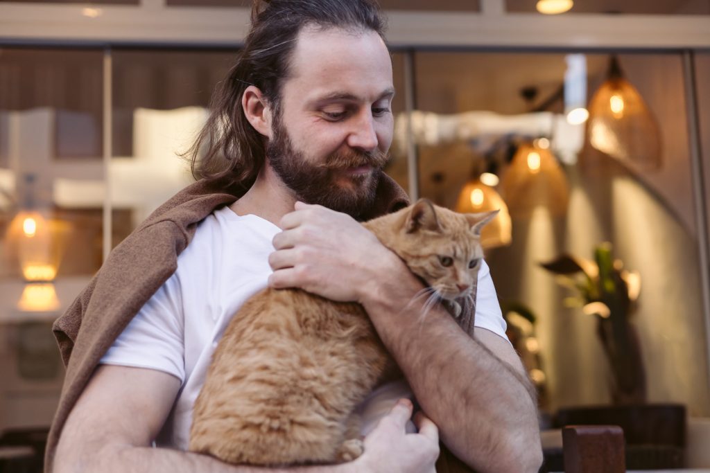 Γιατί οι γάτες νιαουρίζουν περισσότερο στους άνδρες; Τι μπορεί να σημαίνει, σύμφωνα με έρευνα