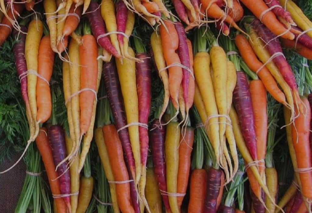 Η αγαπημένη λιχουδιά των πόνι που μπορεί να ενισχύσει όραση, εγκέφαλο και ανοσοποιητικό