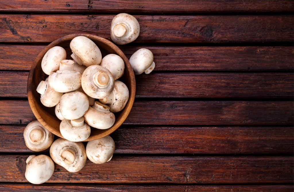 Οι θησαυροί του δάσους που μπορεί να ενισχύουν το ανοσοποιητικό, την καρδιά και το έντερο