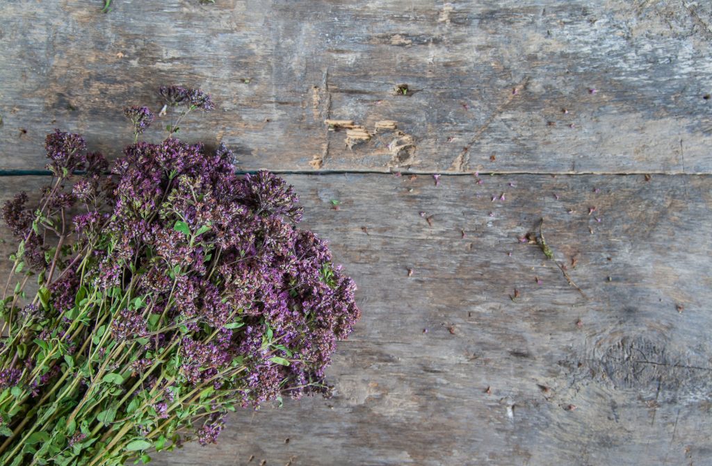 Το βότανο της μεσαιωνικής Ευρώπης που μπορεί να μειώσει τη φλεγμονή και να έχει αντικαρκινική δράση