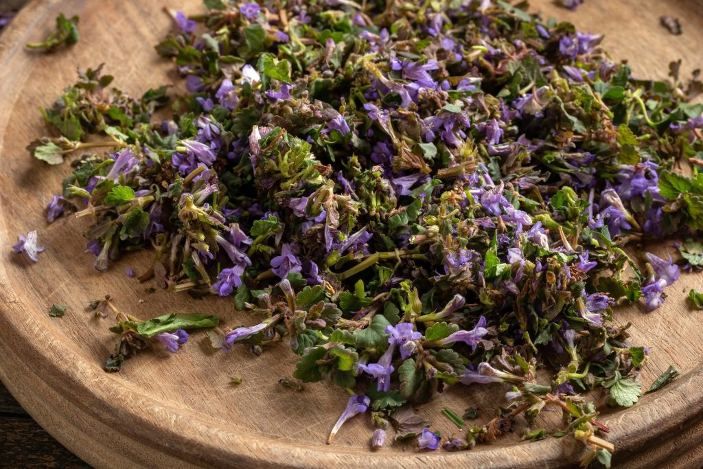 Το μαγικό βότανο της σελήνης που μπορεί να βελτιώσει τη διάθεση και να προστατεύσει εγκέφαλο και καρδιά