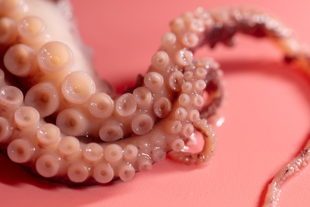 ΕΟΔΥ: Οδηγίες για ασφαλή κατανάλωση θαλασσινών και οστρακοειδών τη Σαρακοστή – Τι να προσέξετε