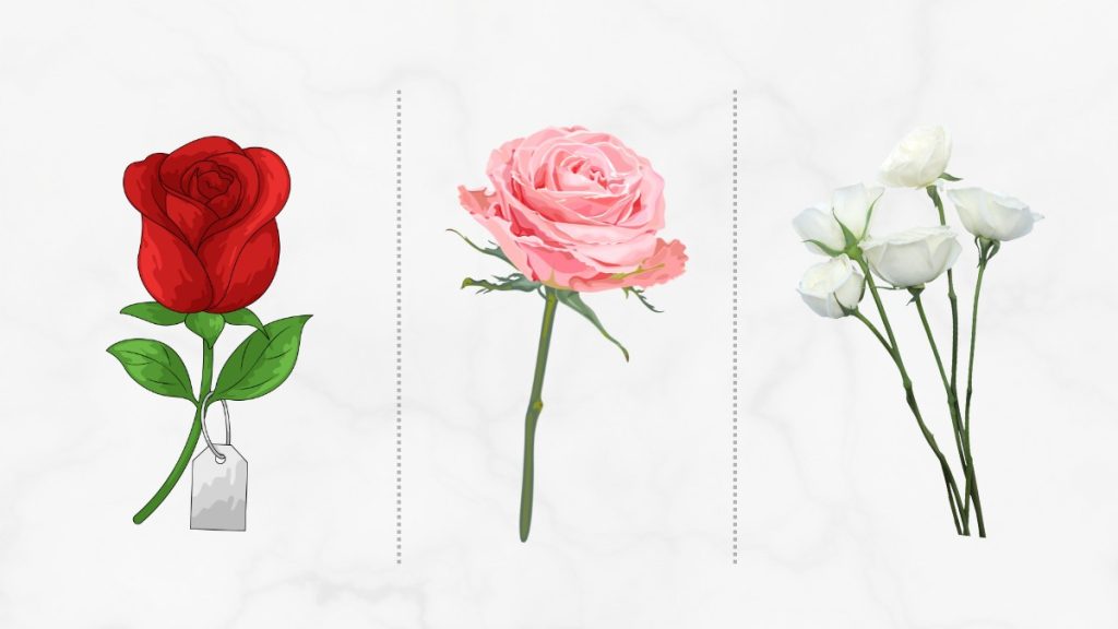 Διαλέξτε ένα τριαντάφυλλο για την ημέρα του Αγ. Βαλεντίνου και ανακαλύψτε πώς αντιδράτε στο άγχος στο τεστ προσωπικότητας