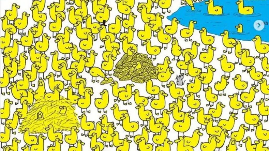Μόνο όσοι έχουν μάτια σαν ακτίνες laser θα μπορέσουν να βρουν το κρυμμένο κοτοπουλάκι στη φωτογραφία σε 36 δεύτερα