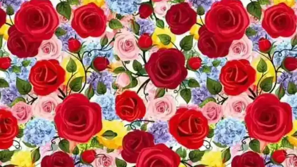 Εντοπίσετε τον μοναδικό κρίνο ανάμεσα στα πολύχρωμα τριαντάφυλλα – Θα καταφέρετε να λύσετε το τεστ οπτικής αντίληψης μέσα σε 7 δευτερόλεπτα;