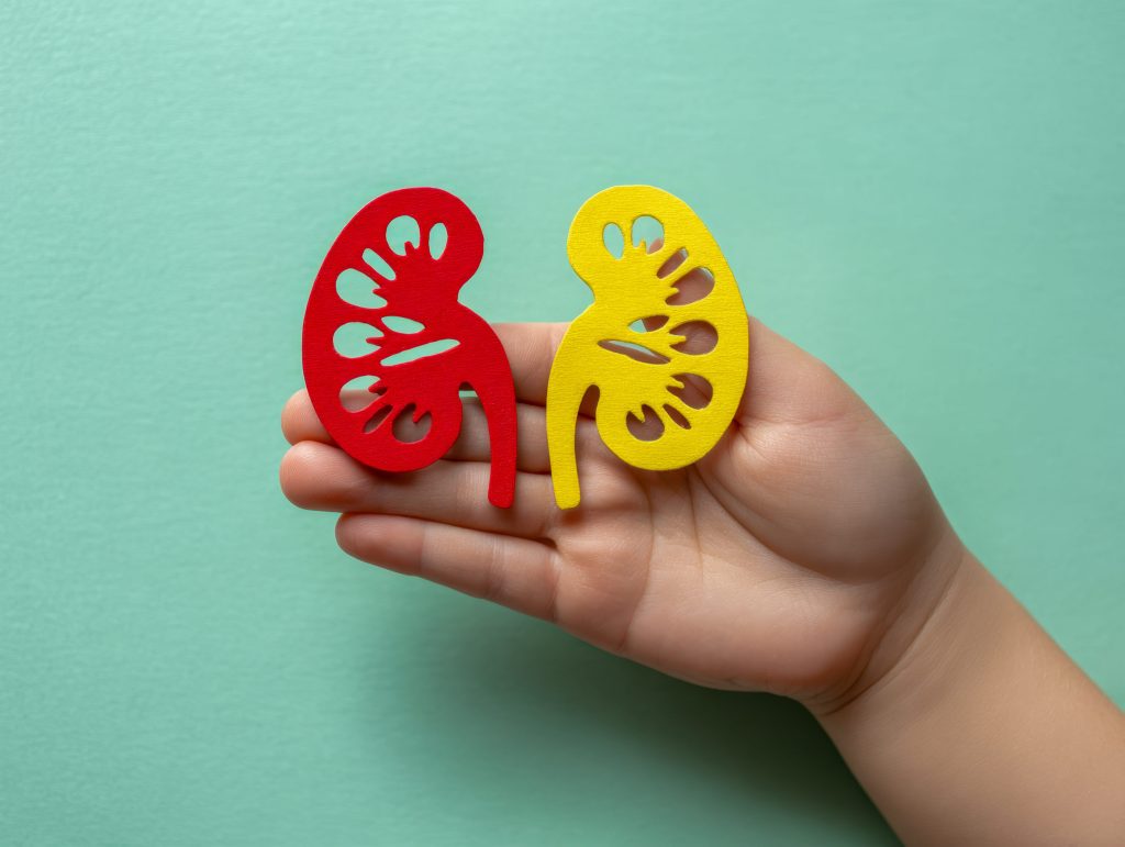 Νεφρά: 9 συμπτώματα που μπορεί να δείχνουν ότι έχετε πρόβλημα