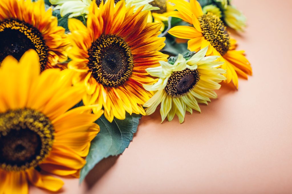 Το κόλπο για να διατηρήσετε τα κομμένα λουλούδια φρέσκα έως και μία εβδομάδα περισσότερο