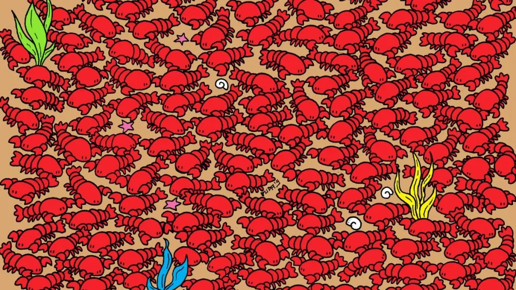 Μόνο αν έχετε μάτια σαν κιάλια θα εντοπίσετε τέσσερα καβούρια ανάμεσα σε αστακούς σε 45 δευτερόλεπτα!