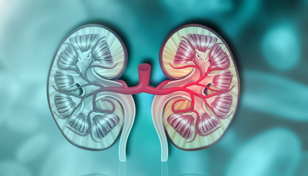 Νέα θεραπευτική στρατηγική στη μάχη κατά του μεταστατικού καρκίνου του νεφρού