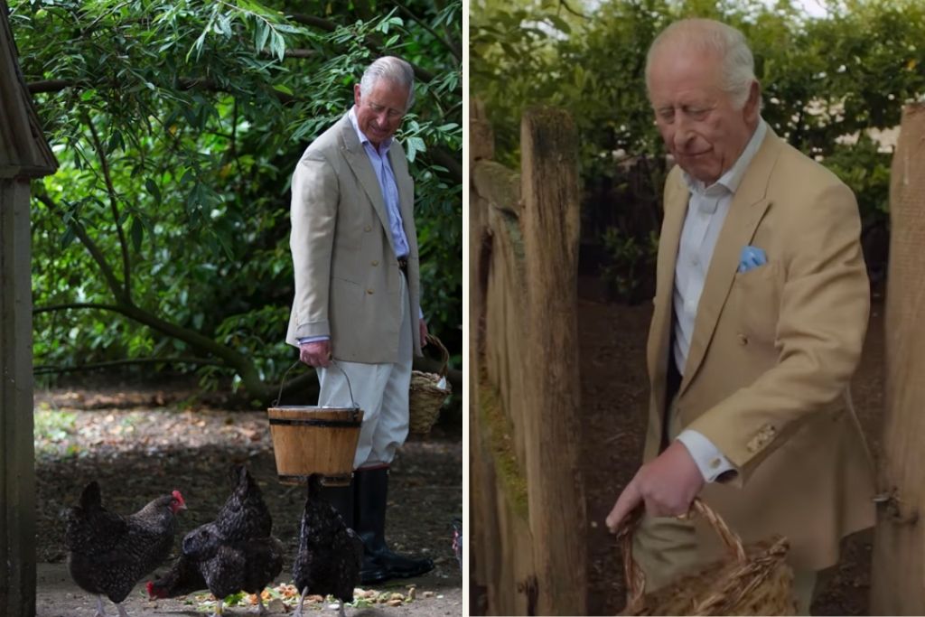 Κηπουρός του Βασιλιά Καρόλου μοιράζεται 7 χρυσές συμβουλές για τον κήπο: «Ανεβάζουν την αξία του σπιτιού»