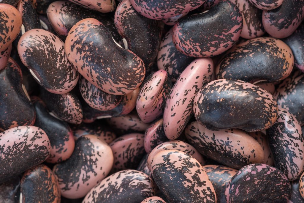 Το όσπριο των δύσκολων εποχών που μπορεί να ενισχύσει την καρδιά και έχει αντιοξειδωτική δράση