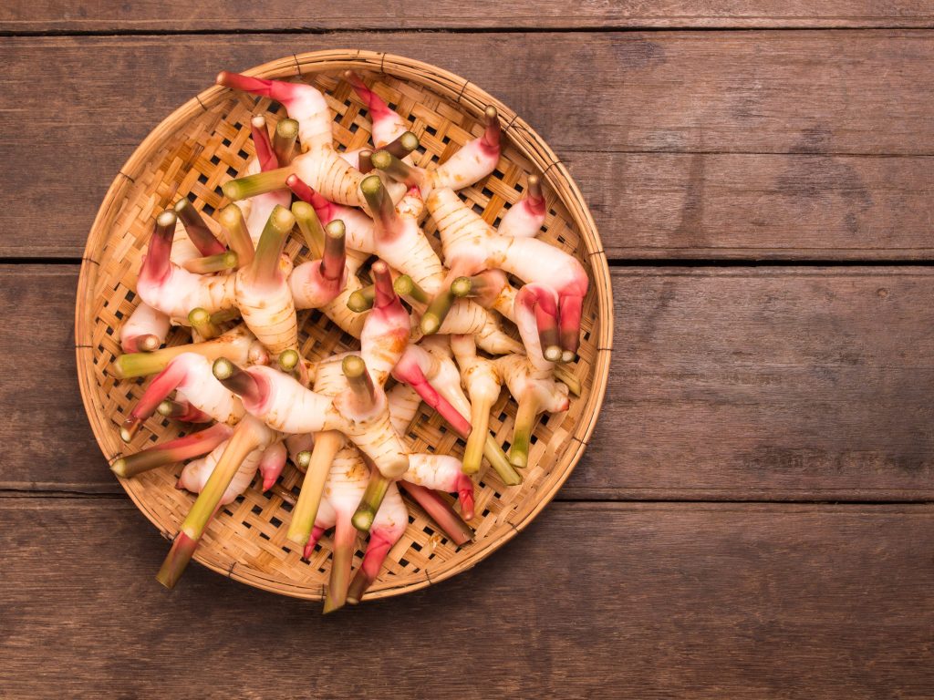 Το βότανο «ρίζα της δύναμης» που μπορεί να ενισχύσει την καρδιά και να βελτιώσει την κινητικότητα των σπερματοζωαρίων