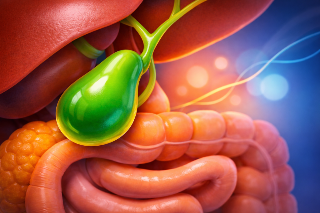 Καρκίνος της χοληδόχου κύστης: Ναυτία, ίκτερος και άλλα 6 συμπτώματα που μπορεί να σχετίζονται με τη νόσο