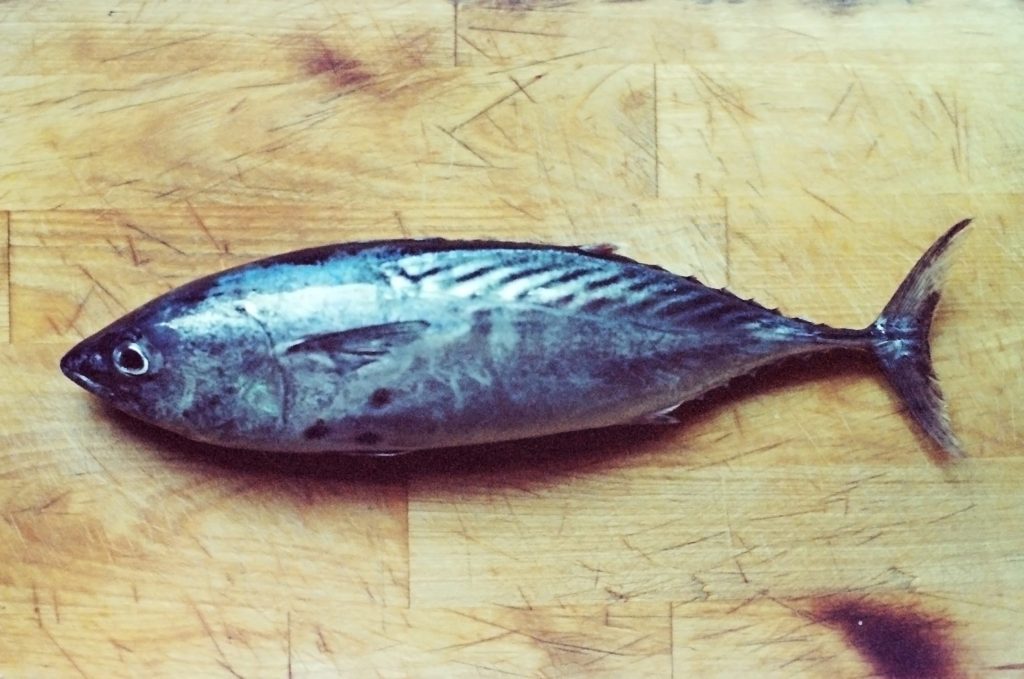 Το ψάρι θηρευτής που μπορεί να έχει αντιοξειδωτική δράση και να προστατεύει το ανοσοποιητικό