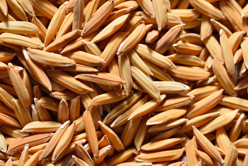 Το superfood που κάποτε πετούσαν αλλά μπορεί να ενισχύσει το ανοσοποιητικό και να βοηθήσει στην απώλεια βάρους