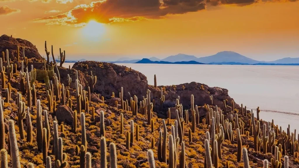 Ένα καλά καμουφλαρισμένο ελάφι κρύβεται στη φωτογραφία – Σπάστε το ρεκόρ και ανακαλύψτε το σε λιγότερο από 7 δευτερόλεπτα