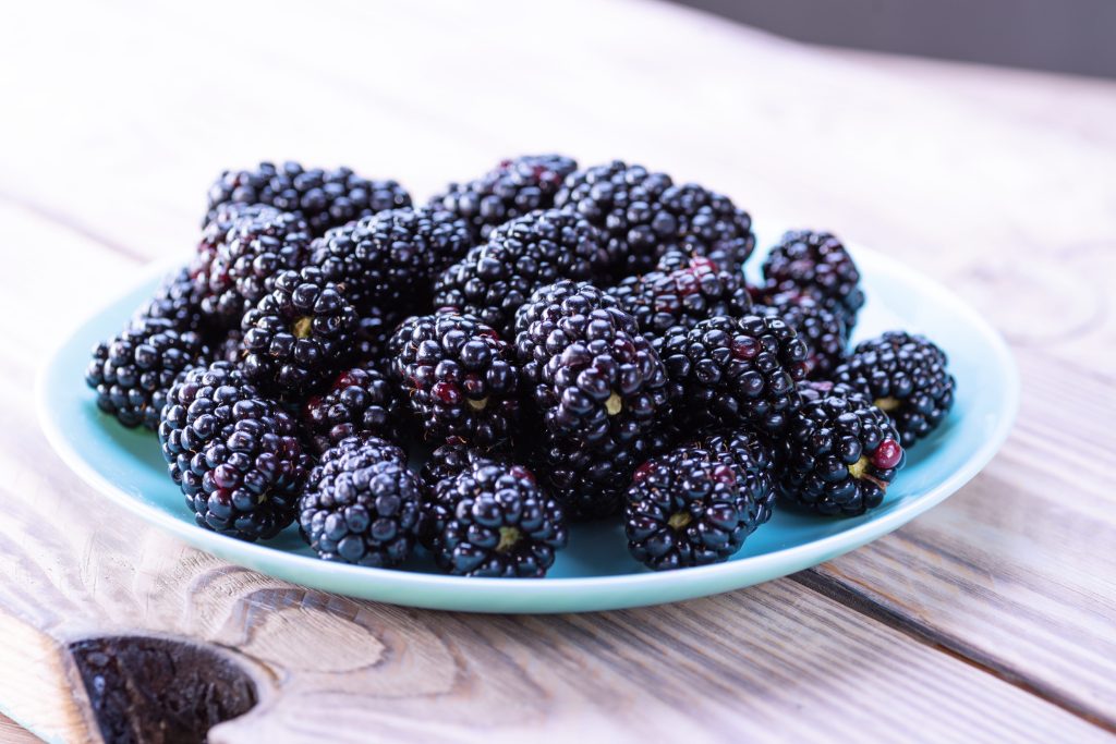 Το μούρο που καταράστηκε ο διάβολος μπορεί να προστατεύσει την καρδιά και να ρίξει το σάκχαρο