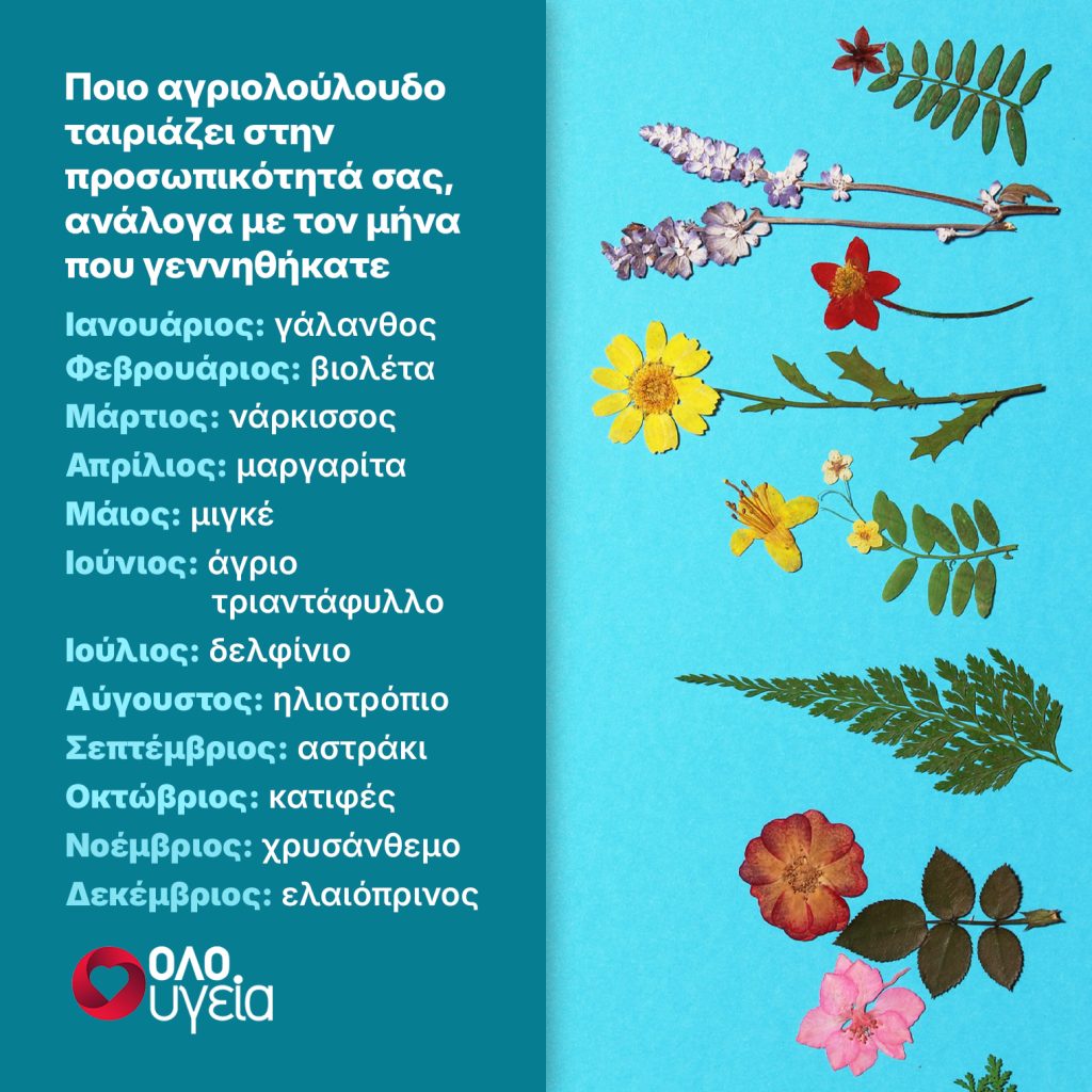 Ποιο είναι το τυχερό σας αγριολούλουδο ανάλογα με τον μήνα γέννησής σας