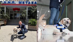 Ο Ντύλαν «έπιασε δουλειά» στο Νοσοκομείο Μεταξά- Ο πρώτος σκύλος θεραπείας με σταθερή παρουσία στο ΕΣΥ