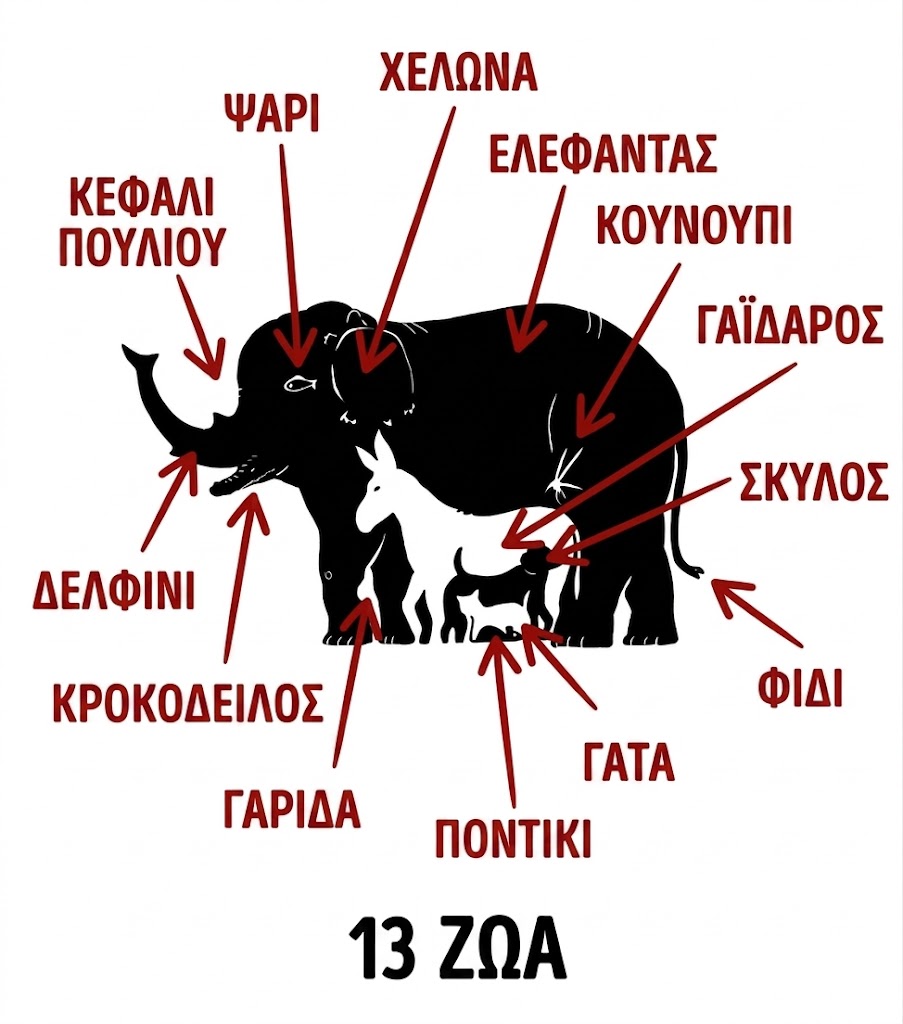 Υπάρχουν 13 ζώα στην ασπρόμαυρη φωτό – Πόσο γρήγορα μπορείτε να τα εντοπίσετε και να λύσετε το τεστ οπτικής αντίληψης;