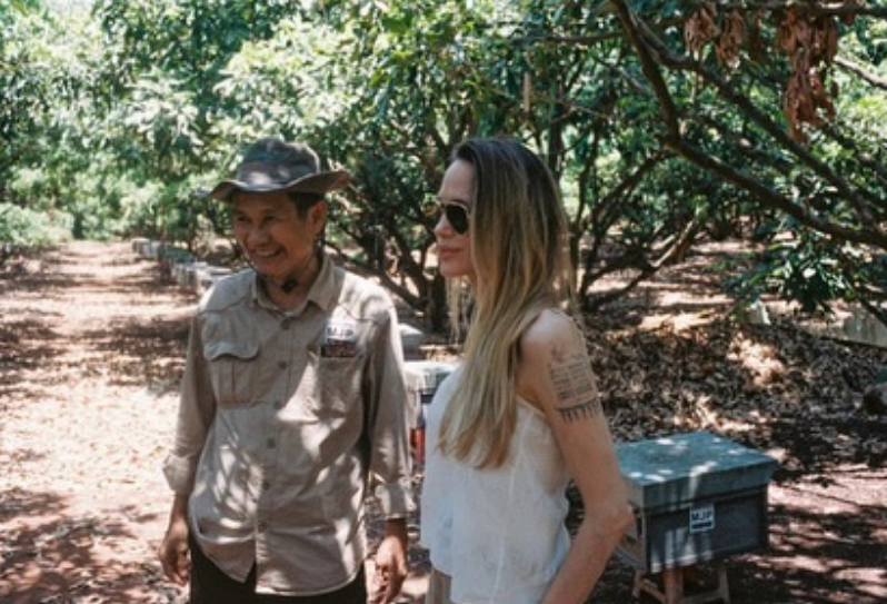 Angelina Jolie