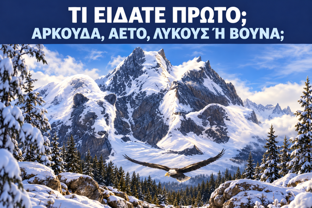 Τι είδατε πρώτο; Αρκούδα, αετό, λύκους ή βουνά; Το τεστ προσωπικότητας που θα βγάλει τα άπλυτά σας στη φόρα